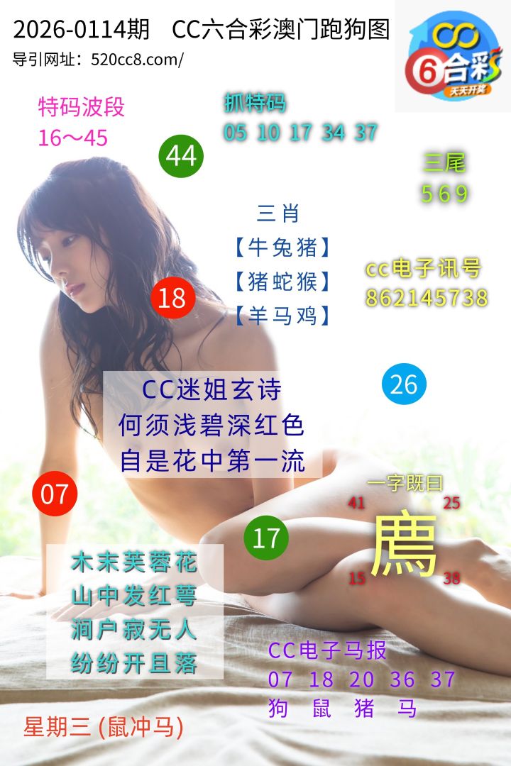 CC六合澳门跑马图0114期
